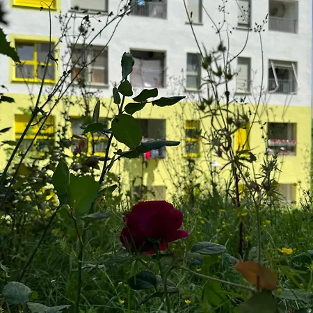 Apartmán Journey Tirana