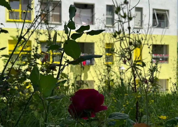 Apartmán Journey Tirana